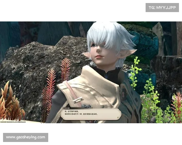 沉默的竞技:诺里与德约冲突背后的性别化竞技友谊解析 沉默的竞技:诺里与德约冲突背后的性别化竞技友谊解析