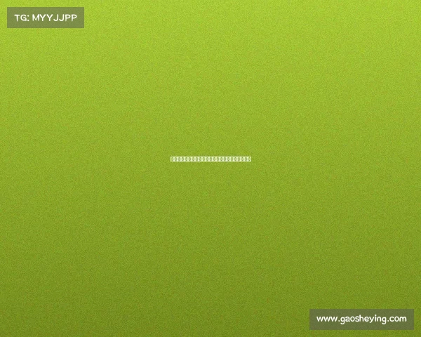 罗马诺：利物浦喜爱莱昂尼但未提出报价和深入谈判